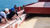 Tổng thống Putin cảnh báo Nga có thể hủy bỏ thỏa thuận xuất khẩu ngũ cốc sau 60 ngày