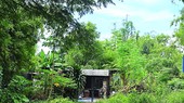 Khu vực chưa được bồi thường trong dự án khu dân cư Vĩnh Lộc. Ảnh: D.N.HÀ - TTO
