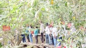 Students visit Xeo Quyt in Dong Thap province Photo: SGGP