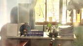 Bình Định: Đề nghị bãi nhiệm Phó Chủ tịch phường bỏ nhiệm sở nhiều tháng