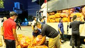“Chiến sĩ” thể thao trên mặt trận chống dịch