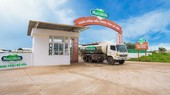 Nutifood ra mắt trang trại bò sữa Nutimilk