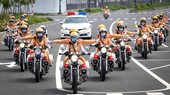 Bóng hồng dẫn đoàn