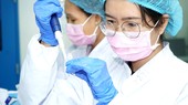 Nỗ lực thử nghiệm trên người trong tháng 9-10