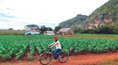 Đạp xe khám phá Vinales.
