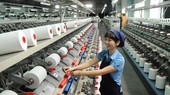 TPHCM xây dựng những tập đoàn kinh tế mạnh, đủ sức cạnh tranh