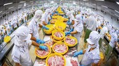 Ngành thủy sản hiện chỉ có khoảng 30% DN tại các tỉnh phía Nam duy trì được hoạt động sản xuất theo mô hình 3 tại chỗ.