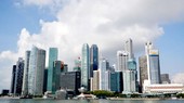 Nhân lực kỹ thuật số nhìn từ Singapore