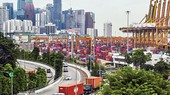 Cảng container Singapore là một trong những trung tâm chuyển tải nhộn nhịp nhất thế giới.