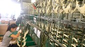 Nhiều dư địa cho sản xuất sản phẩm hỗ trợ