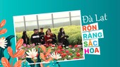 Đà Lạt rộn ràng sắc hoa