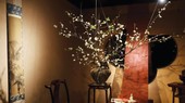 Tết đâu chỉ “mai Nam đào Bắc”