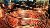 Triển vọng tươi sáng của ngành đồng
