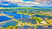 Nhiều dự án điện gió, điện mặt trời đắp chiếu vì không bán được điện cho EVN.