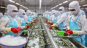 Nhiều doanh nghiệp đang gặp khó khăn, thua lỗ, trong khi đó ngân hàng đang lãi lớn nhờ doanh nghiệp đóng lãi vay. (Trong ảnh: Chế biến thủy sản xuất khẩu tại CTCP Tập đoàn Thủy sản Minh Phú).