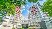 Chung cư Ruby Celadon City chưa được cấp sổ hồng do chủ đầu tư chưa thực hiện đóng 514 tỷ đồng truy thu theo Kết luận của Thanh tra Chính phủ.