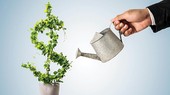 TS Phan Hữu Thắng: Doanh nghiệp cần có tầm nhìn dài hạn khi đầu tư ra nước ngoài