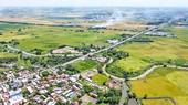 Nghị quyết 98 cho phép TPHCM chuyển mục đích sử dụng đất trồng lúa dưới 500ha phù hợp với quy hoạch, tạo nguồn thu cho ngân sách nhà nước.
