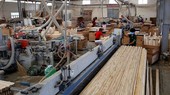 Sản xuất, chế biến gỗ xuất khẩu. (Nguồn: TTXVN)