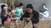 Micro, Small, and Medium Businesses and Farmers Benefit from More Than Half a Billion Dollars in COV
