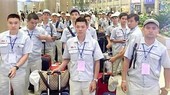 8 doanh nghiệp xuất khẩu lao động bị dừng đưa lao động sang Nhật