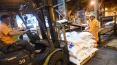 Giá phân bón tăng 'vọt' 83%, nông dân sao chịu nổi?