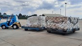 Vietnam Airlines vận chuyển bộ xét nghiệm nhanh Covid-19 do Đức trao tặng