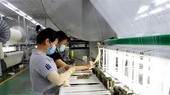 Công nhân tại một doanh nghiệp ở Long An. (Nguồn: TTXVN)