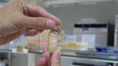 Vaccine Covivac thành phẩm do Viện Vaccine và Sinh phẩm Y tế (thuộc Bộ Y tế) đặt tại Khánh Hòa nghiên cứu và sản xuất. (Ảnh: Phan Sáu/TTXVN)