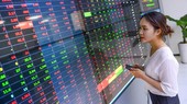 Thấy gì từ động thái mua ròng của khối ngoại nửa cuối tháng 11?