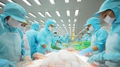 Cá tra trở lại thời hoàng kim