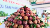 Sản phẩm mận hậu của huyện Mộc Châu, tỉnh Sơn La tại Festival trái cây và sản phẩm OCOP năm 2022. (Ảnh: Quang Quyết/TTXVN)
