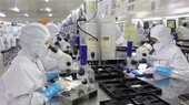Thu hút đầu tư FDI của Bắc Giang liên tục tăng. (Ảnh: Đồng Thúy/TTXVN)