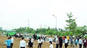 Ảnh minh họa.