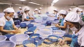 Xuất-nhập nông phẩm Việt có đáng lo?