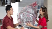 Vietjet vận chuyển mai, đào Tết 2023