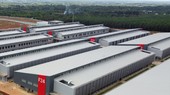 Cty TNHH Longwell liên tiếp lỗ trong 2 năm gần đây