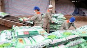Công nhân Công ty Cổ phần Supe Phốt phát và Hóa chất Lâm Thao vận chuyển sản phẩm phân bón mới lên xe của khách hàng. (Ảnh: Trung Kiên/TTXVN)