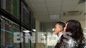Cổ phiếu FLC chuyển sang . (Ảnh: Bews/TTXVN)
