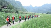 Phong cảnh xanh mát thôn Lũng Slàng, xã Tri Phương, huyện Tràng Định, tỉnh Lạng Sơn thu hút du khách. (Ảnh: Anh Tuấn/TTXVN)