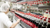 Doanh nghiệp Hoa Kỳ cần thúc đẩy hợp tác trong các lĩnh vực ưu tiên và thế mạnh
