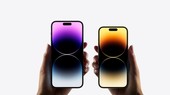 Năm 2022, iPhone đứng đầu khi chiếm 46,05% tổng kim ngạch nhập khẩu điện thoại nguyên chiếc của cả nước, tương đương 1,162 tỷ USD.