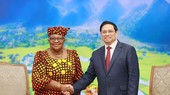 Thủ tướng Phạm Minh Chính tiếp Tổng Giám đốc Tổ chức Thương mại thế giới (WTO) Ngozi Okonjo-Iweal. (Ảnh: Dương Giang/TTXVN)