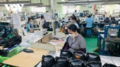 Trong cuộc họp với các địa phương mới đây, Chính phủ chỉ đạo cần tập trung tháo gỡ khó khăn, khắc phục ngay tình trạng sản xuất kinh doanh trì trệ, khôi phục và tìm kiếm thị trường, đơn hàng mới. (Ảnh minh họa)