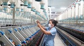 7 hành vi bị cấm trong quản lý và đầu tư vốn nhà nước tại doanh nghiệp