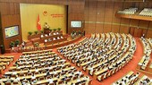 Toàn cảnh phiên họp