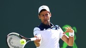Novak Djokovic phải trải qua trận thua thứ 3 liên tiếp trong mùa