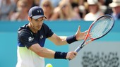 Andy Murray trong trận thua Fernando Verdasco