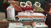 Hơn 500kg pháo nổ bị thu giữ. Ảnh: Tr.T.