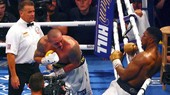 Usyk đánh bại AJ, sau đó được Vitali chúc mừng